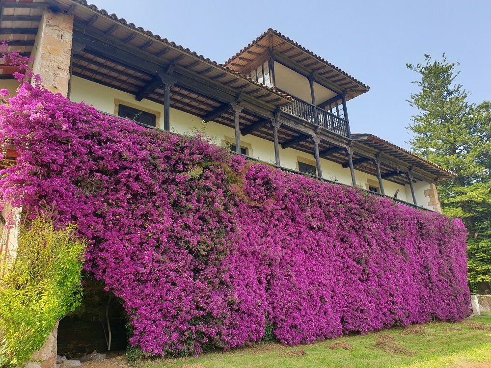 1573veri corral inmobiliaria vende palacio en asturias exclusiva 27