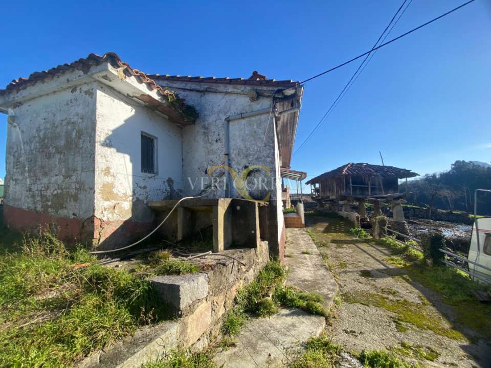 3260img 0699