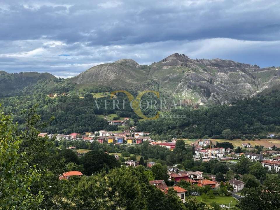 3591vericorralinmobiliariavendeterrenoenribadesella17