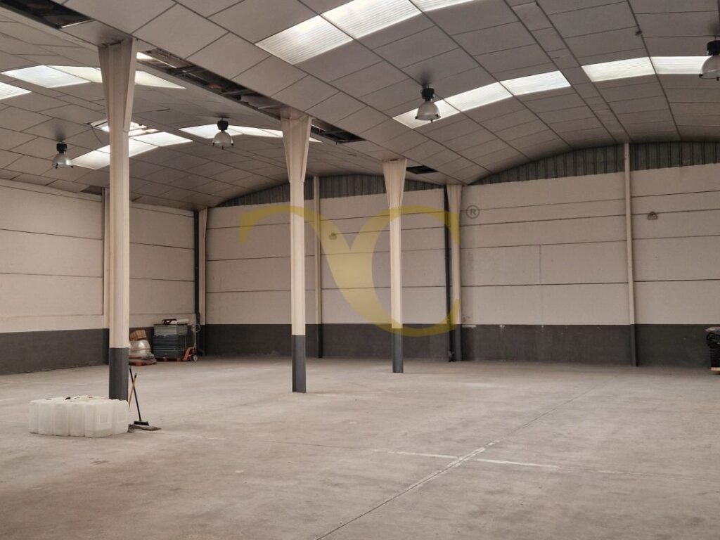 493010002085021 0056680001760947892