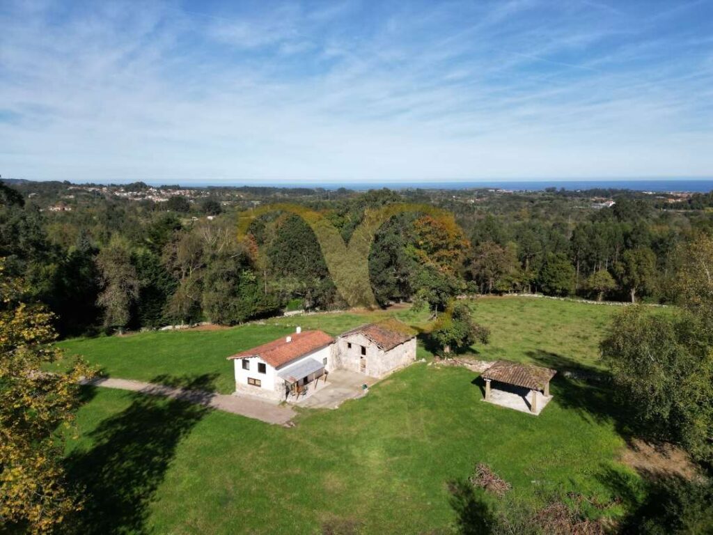 4932dji 0994 0309854001761902217