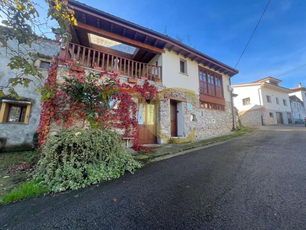 4934whatsappimage2025 10 31at1712493 0677476001761930157