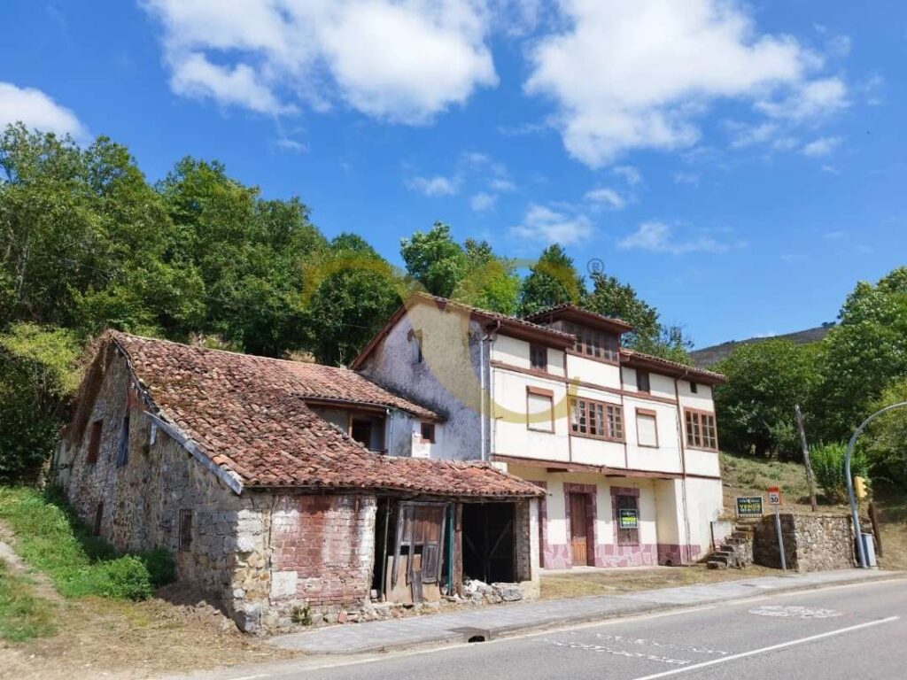 5101whatsappimage2025 08 27at172253 0245941001760979867