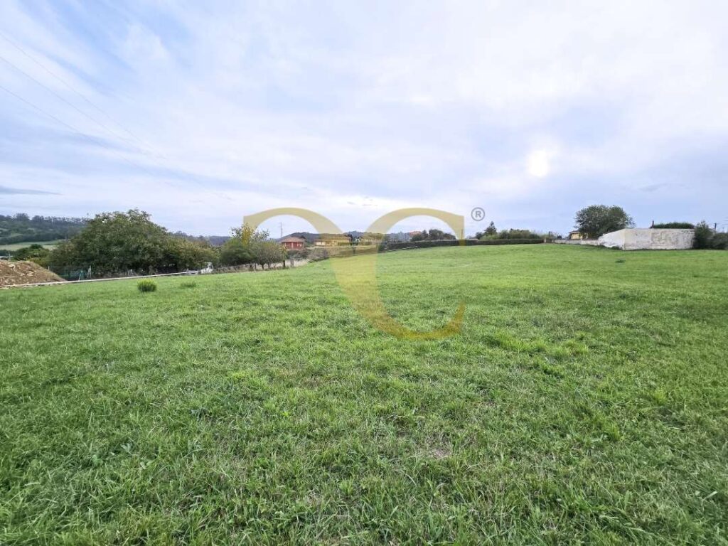 510920251024 180205 0793698001761578612