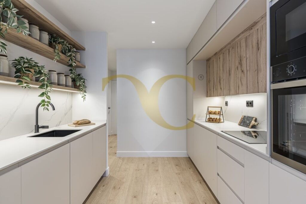 5129wfsanbernardo32high 012 0001290001761738558