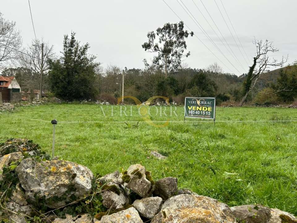 2207whatsappimage2024 11 26at11.40.07