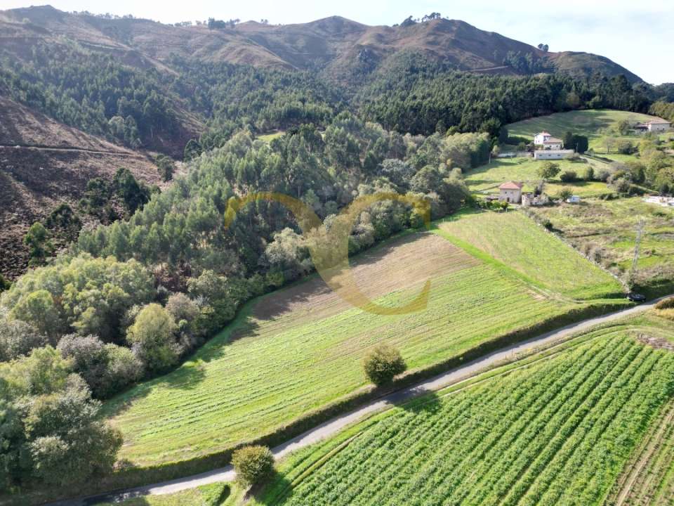 492920251028 134549 0125983001761825380